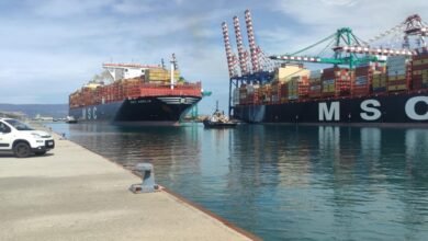 Msc Isabella et Msc Amelia à Gioia Tauro