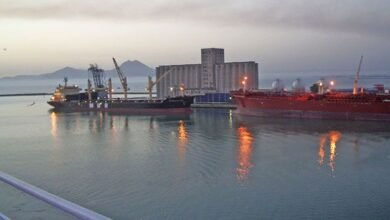 Navires de surveillance au port d'Halk El Wadi