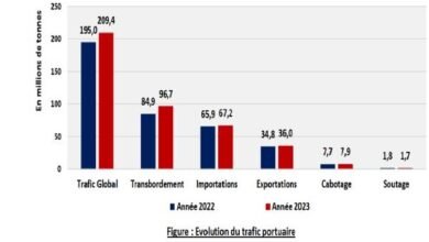 Bateaux amarrés dans un port animé.