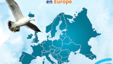 Nouris Elbahr Ferries : Expansion du réseau de réservation en Europe