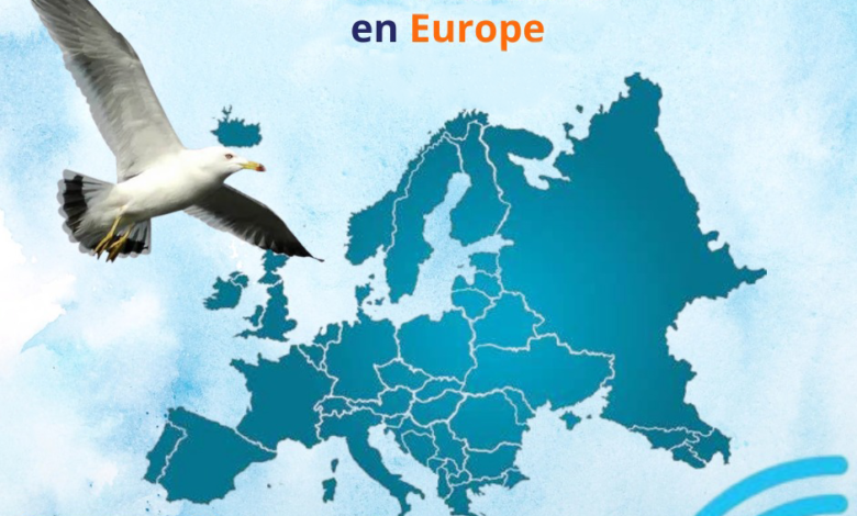 Nouris Elbahr Ferries : Expansion du réseau de réservation en Europe