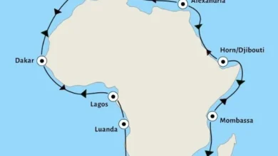 Ligne-maritime-africaine-Un-projet-pour-un-commerce-plus-rapide_1