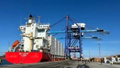 Ligne maritime verte de DP World en pleine mer.