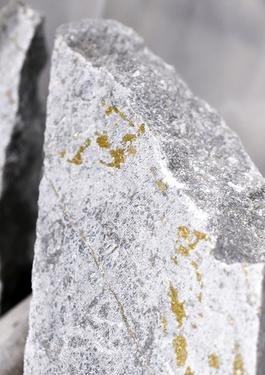 Logo de Bureau Veritas, organisme de certification et contrôle qualité.