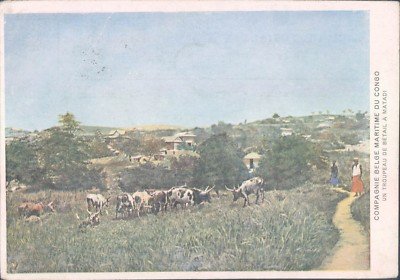 Logo de la Compagnie Maritime du Bétail.