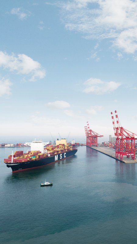 Logo de la Mediterranean Shipping Company (MSC) Algérie.