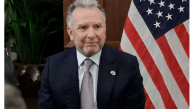 Croisière estivale avec vues maritimes spectaculaires