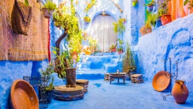 Marhaba 2025 : Plus de 2,78 millions de MRE accueillis jusqu’au 4 août