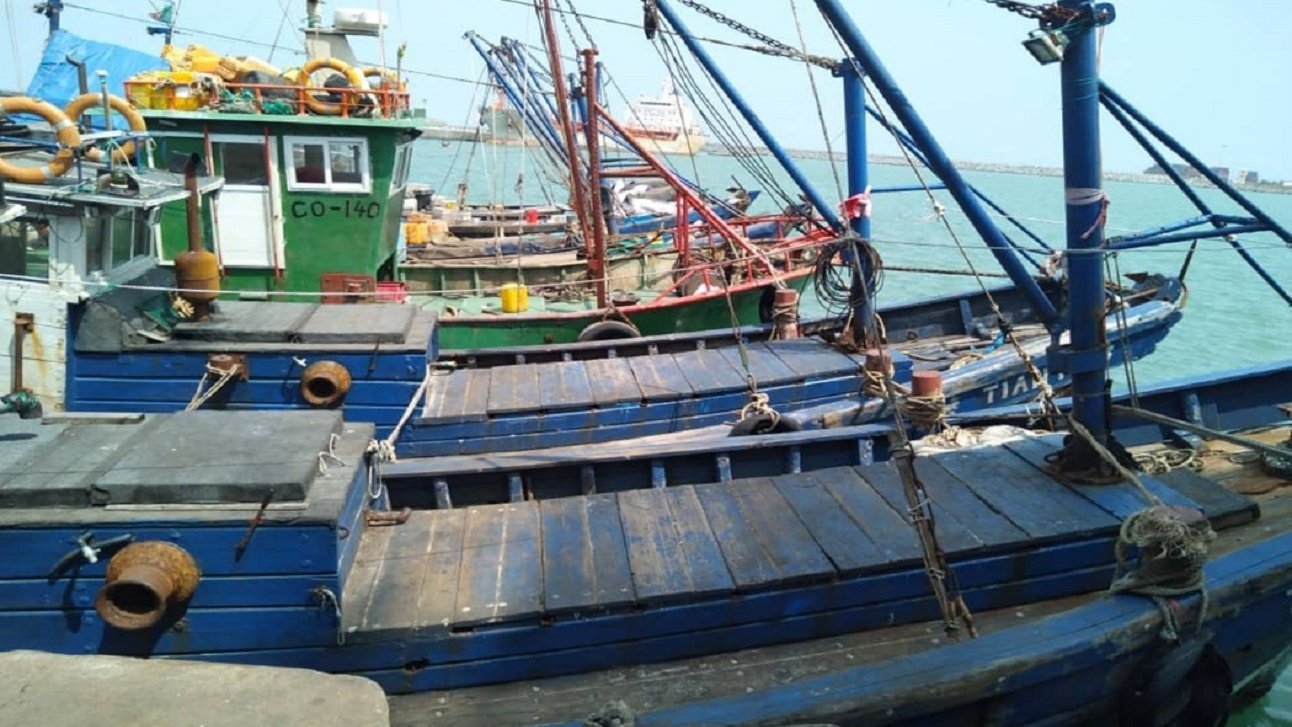 Découvrez la récente réforme de l'Institut Supérieur des Pêches Maritimes au Maroc, qui crée un cycl